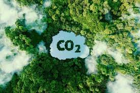 You are currently viewing Source of inspiration’: CO2 Now at Levels Not Found in 14 Million Years